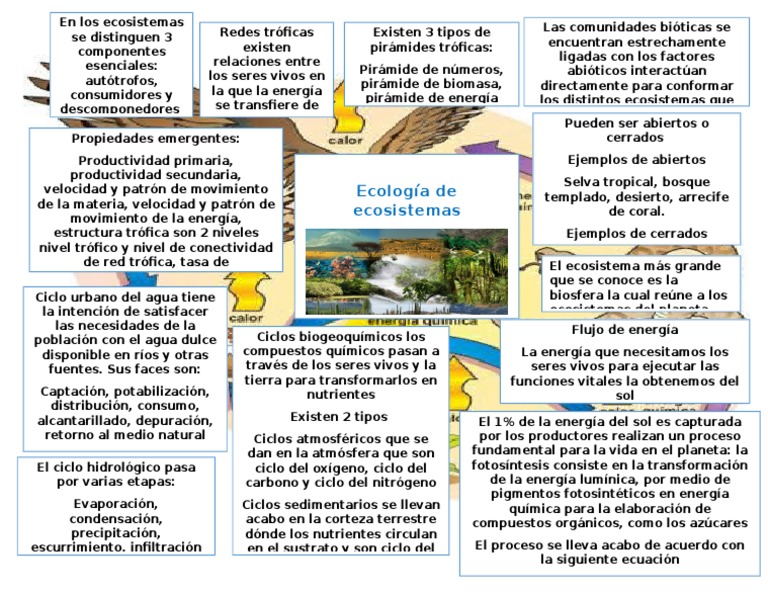 Mapa Conceptual Ecologia de Ecosistemas | PDF