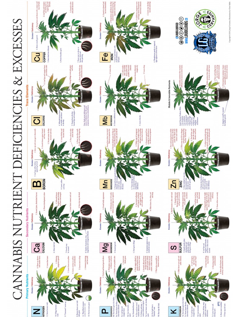 Marijuana Deficiency Chart Jorge Cervantes | PDF
