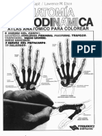 214721781-Anatomia-Cromodinamica.pdf