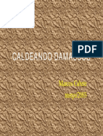CALDEANDO DAMASCOS.pdf