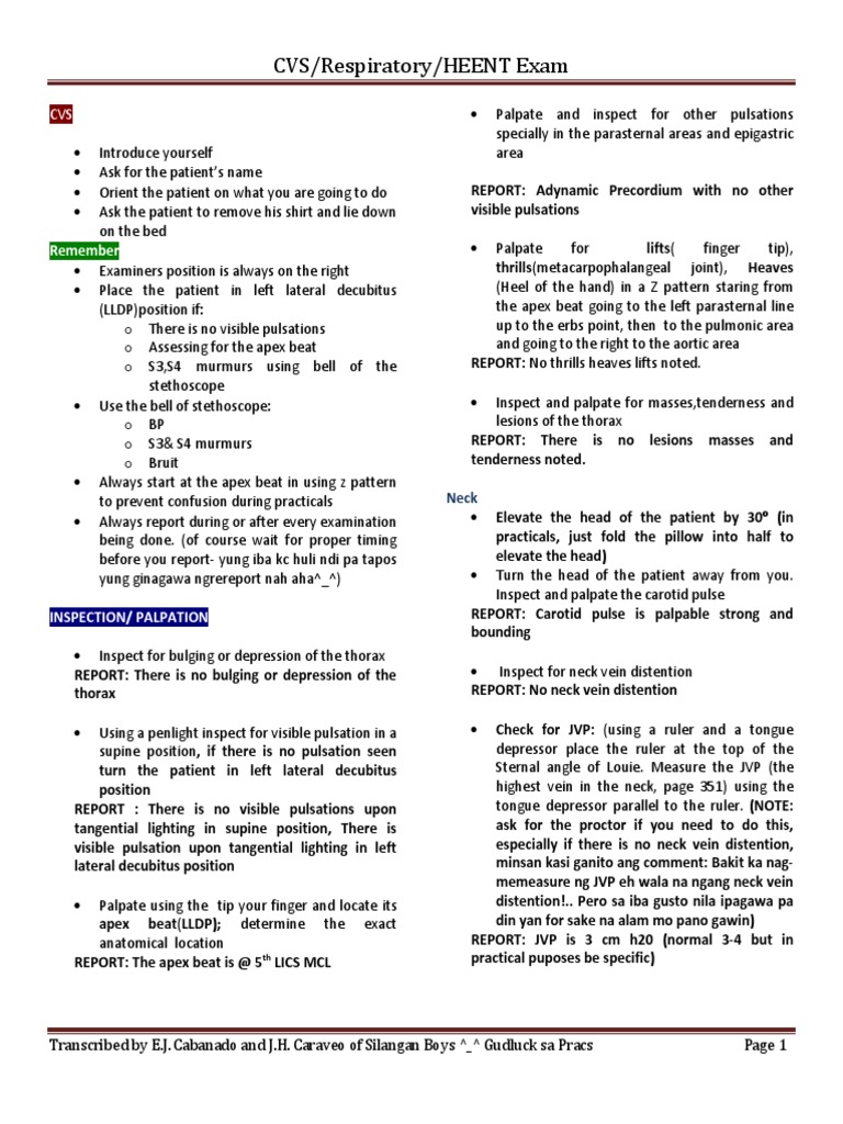 Cvs Respi Heent Exam 1 Pulse Human Anatomy