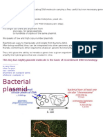 Plasmids Prof Yus