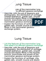 As 1 2 1 Lung Tissue Task