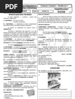 00000ElizeteAula16FenomenosSemanticosIdentificacao1