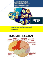 AnaTomi Neurotransmitter