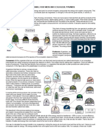 Ecological Pyramids Worksheet 2015