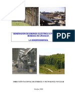 Generación de Energía Eléctrica A Partir de La Biomasa en Uruguay.