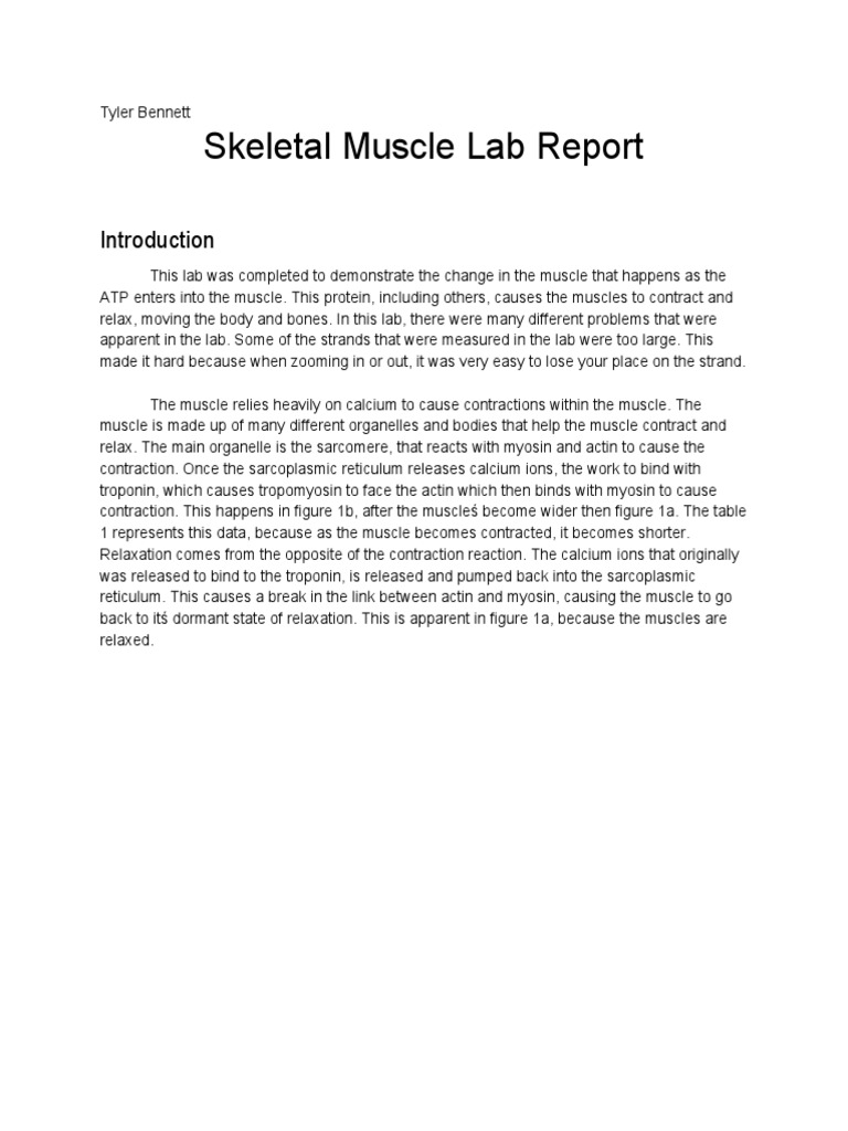 Muscle Contraction Lab Report Analysis | PDF | Muscle Contraction ...