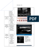 Patologias de 336