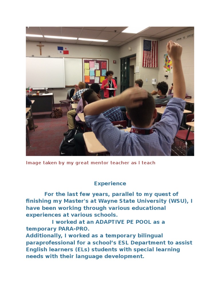 Teaching Experience in Special Education | PDF
