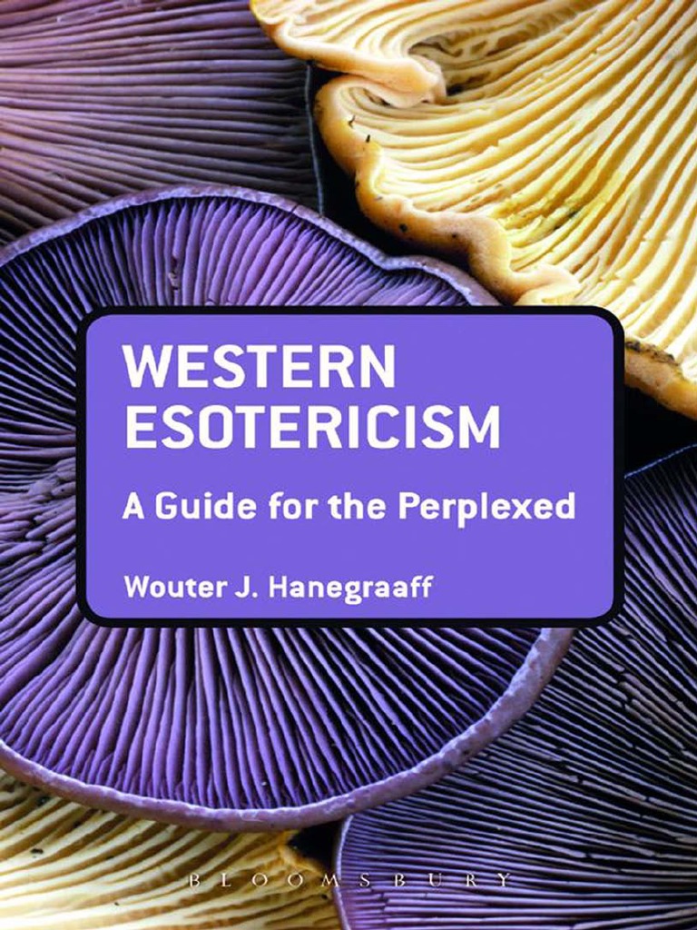 (Guides For The Perplexed) Hanegraaff, Wouter J-Western Esotericism picture pic