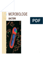 2 - Bacterii PDF
