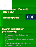 Praktikum Parasit 3.4