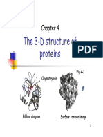 biochem proteins 4