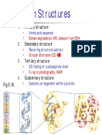 BC aa biosynthesis pdf