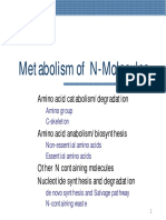 BC N Metabolissm