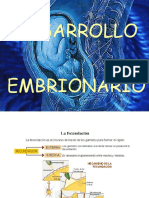 Desarrollo Embrionario