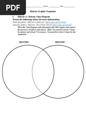 Graphic Organizer Assignment | PDF