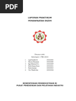 Download Laporan Praktikum Enzim Revisi II by dhessy SN344321139 doc pdf