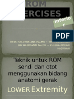 ROM Exercise 2 (Ext Inferior)