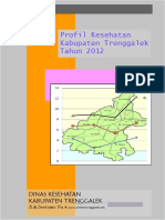 Profil Kesehatan Kab Trenggalek 2012