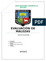 Informe de Malezas 2