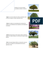 ARBOLES MADERA Y ARBOLES FRUTALES 10.docx