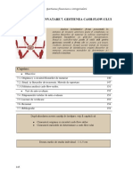 Gestiunea Cash Flow Ului