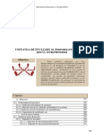 Performanta, Pozitia Si Riscul Intreprinderii