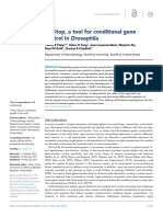 Flpstop, A Tool For Conditional Gene Control in Drosophila