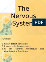 Nervous System 2