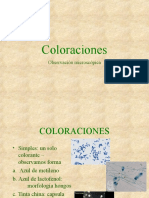 Coloraciones - Metodos de Siembra