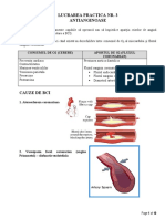 LP03-Antianginoase.pdf