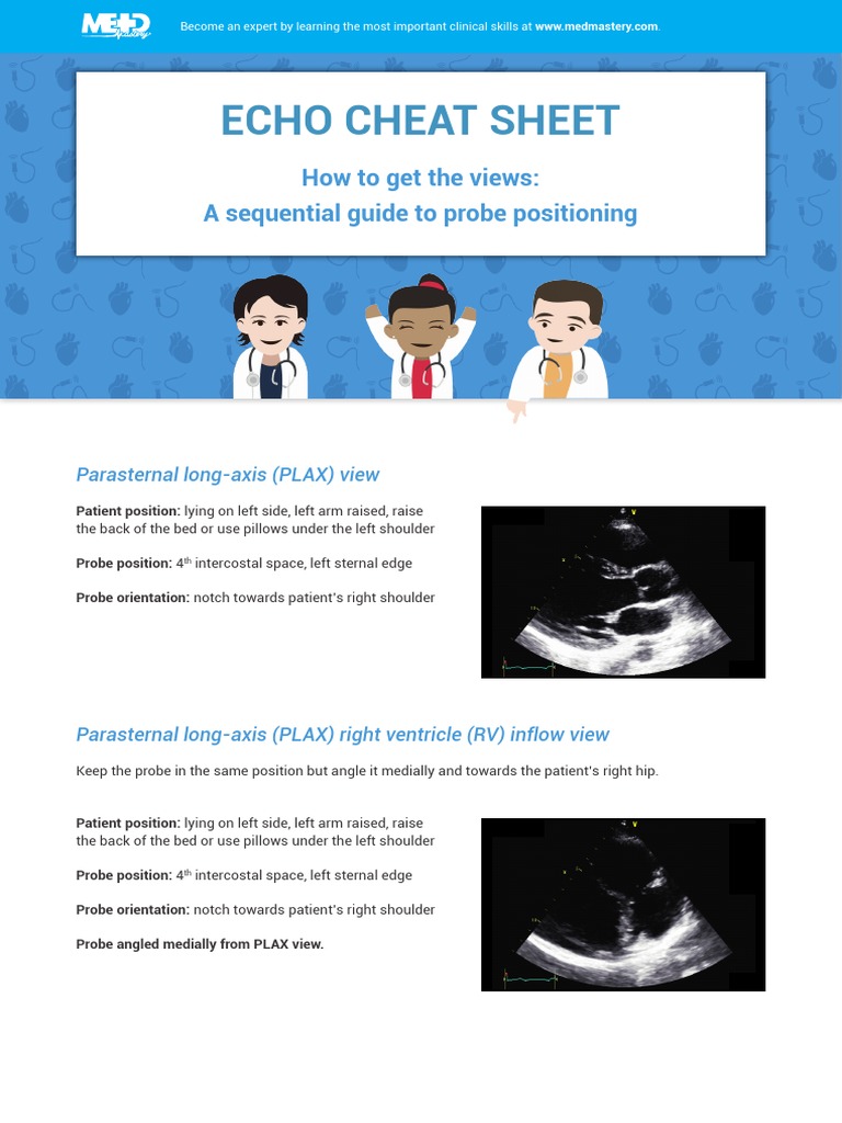 Handouts Echo Essentials Echo Cheat Sheet Pdf Heart Valve