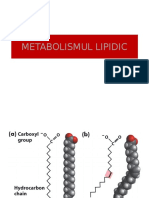 Metabolismul Lipidic - 1