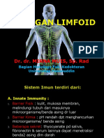 Organ Limfoid