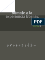 catalogo_bornay-aerogeneradores.pdf