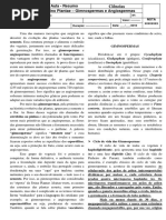 Aula Reino Plantae - Resumo Angiospermas.pdf
