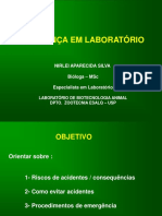 SEMINARIO  Segurança Lab -aula 24-04-12.pdf