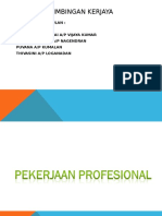 Pekerjaan Profesional