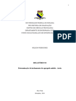 docslide.com.br_relatorio-04-relatorio-do-ensaio-de-inchamento-da-areiadocx.docx