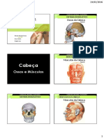 Anatomia-Palpatória-Tronco (1).pdf
