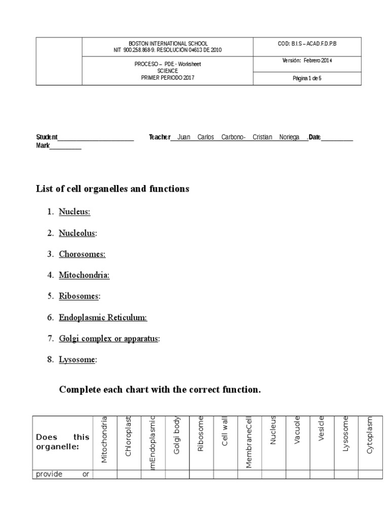 Science Worksheet: Cell Organelles & 3D Shapes | PDF | Lysosome | Cell ...