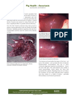 Ascariasis Ada Gambar