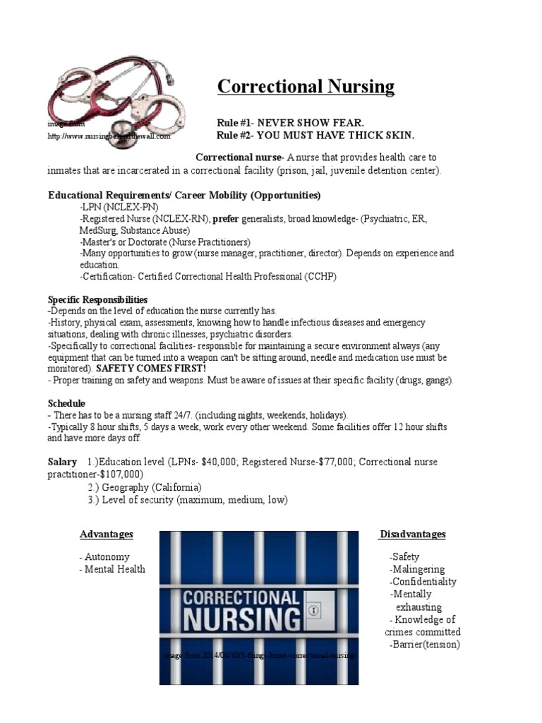 Overview of Correctional Nursing Roles | PDF | National Council ...