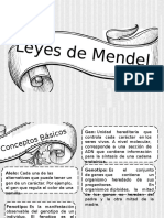 Leyes de Mendel- Expo - Copia