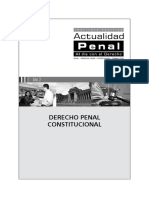 Análisis de La Problemática Constitucional y Procesal Penal de MP - Rosado Soto