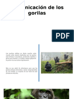 Comunicación de Los Gorilas