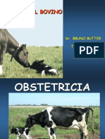 Obstetricia PDF
