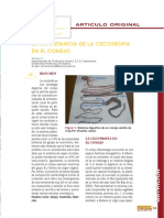 Dialnet-LaImportanciaDeLaCecotrofiaEnElConejo-2933415.pdf